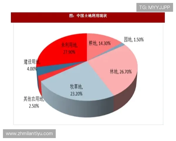 未来米兰平台瓦伦西亚赞助商合作可能带来的市场机遇与挑战分析