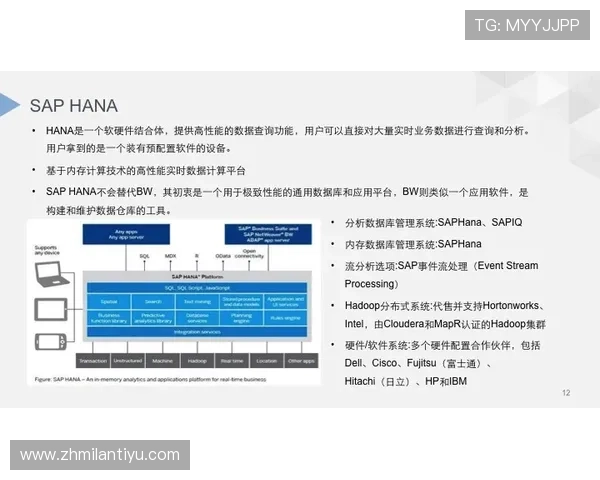 米兰在线登录常见问题及解决方案全攻略