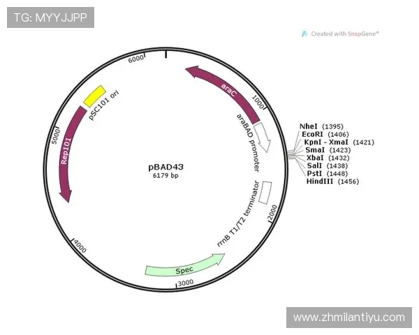 UG体育平台全面解析：如何选择最适合你的体育博彩网站