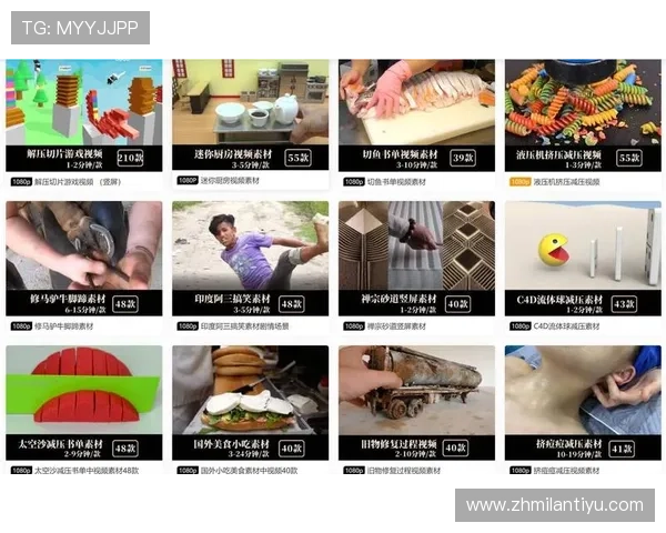 博鱼官网平台客服支持的常用功能与操作指南